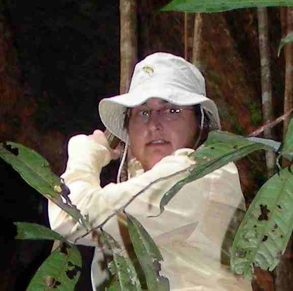 preeva in tree